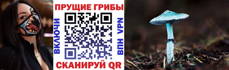 Псилоцибиновые грибы MAGIC MUSHROOMS  Радужный 